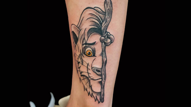 lion webb